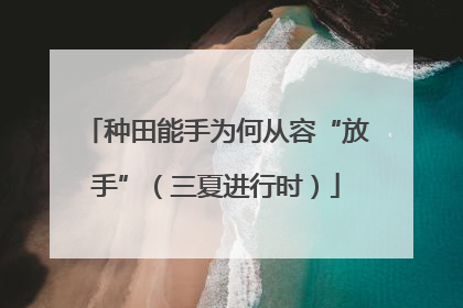 种田能手为何从容“放手”（三夏进行时）