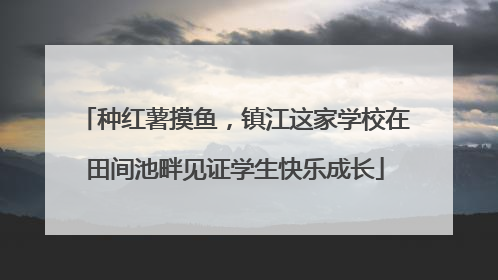 种红薯摸鱼，镇江这家学校在田间池畔见证学生快乐成长