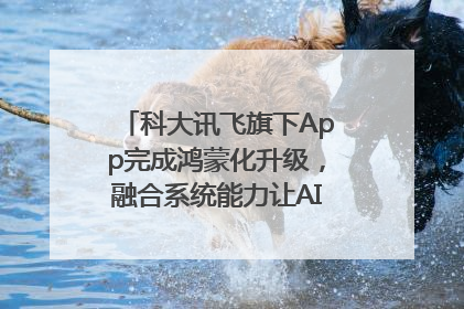 科大讯飞旗下App完成鸿蒙化升级，融合系统能力让AI服务触手可及