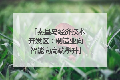秦皇岛经济技术开发区：制造业向智能向高端攀升