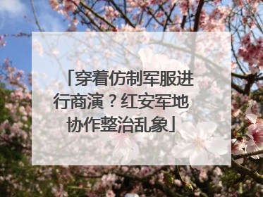 穿着仿制军服进行商演？红安军地协作整治乱象