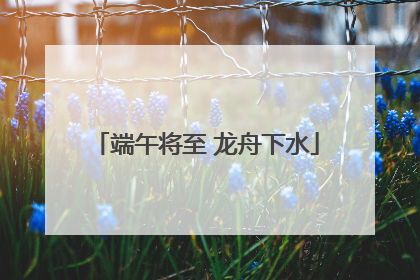 端午将至 龙舟下水