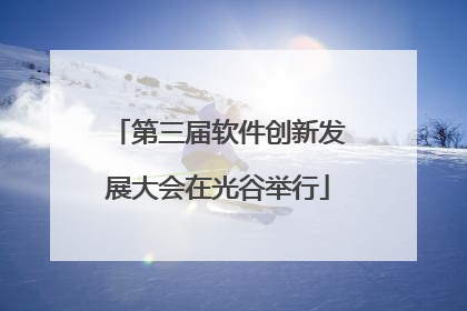 第三届软件创新发展大会在光谷举行