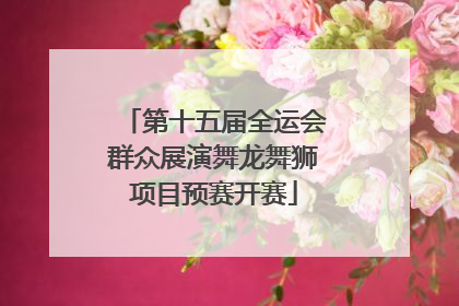 第十五届全运会群众展演舞龙舞狮项目预赛开赛