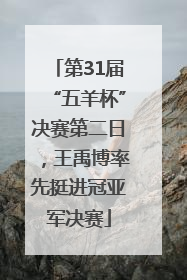 第31届“五羊杯”决赛第二日，王禹博率先挺进冠亚军决赛