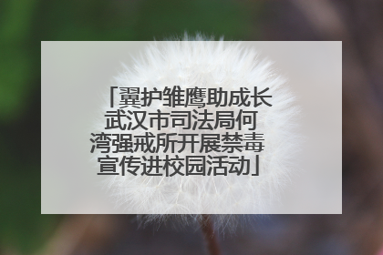 翼护雏鹰助成长 武汉市司法局何湾强戒所开展禁毒宣传进校园活动