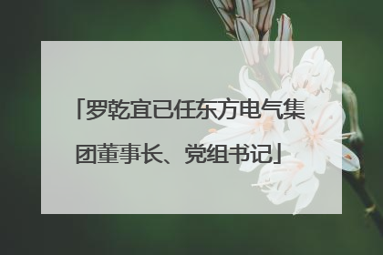 罗乾宜已任东方电气集团董事长、党组书记