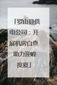 罗山县供电公司：开展机房自查 助力迎峰度夏