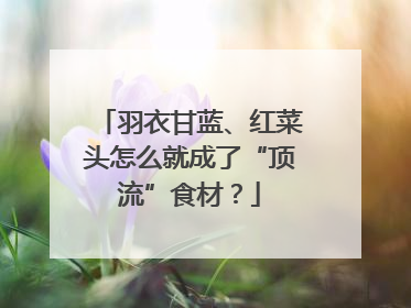 羽衣甘蓝、红菜头怎么就成了“顶流”食材？