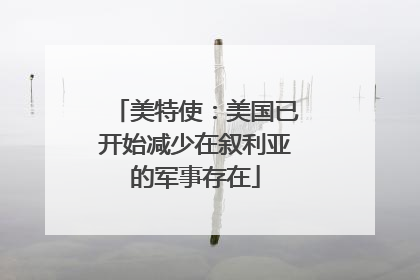 美特使：美国已开始减少在叙利亚的军事存在