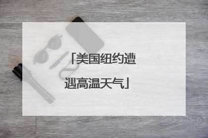 美国纽约遭遇高温天气