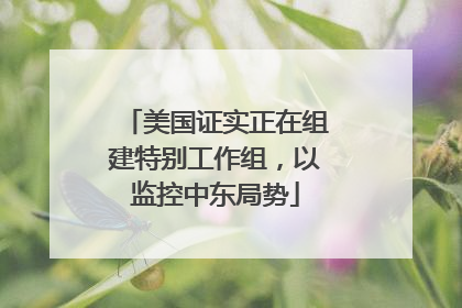 美国证实正在组建特别工作组，以监控中东局势