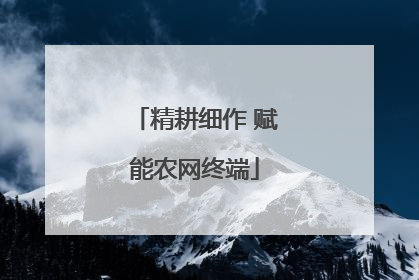 精耕细作 赋能农网终端
