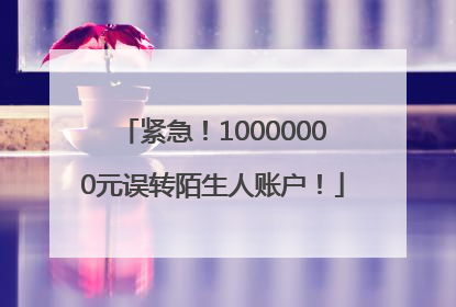 紧急！10000000元误转陌生人账户！