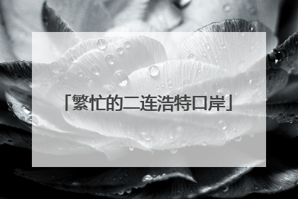 繁忙的二连浩特口岸