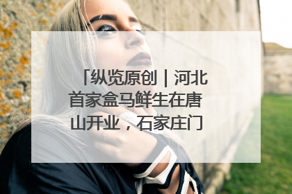 纵览原创｜河北首家盒马鲜生在唐山开业，石家庄门店预计8月开业
