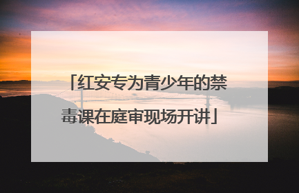 红安专为青少年的禁毒课在庭审现场开讲