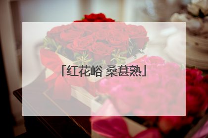 红花峪 桑葚熟