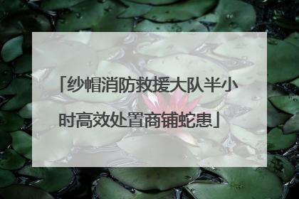 纱帽消防救援大队半小时高效处置商铺蛇患