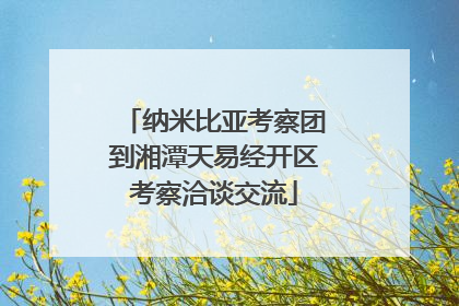 纳米比亚考察团到湘潭天易经开区考察洽谈交流