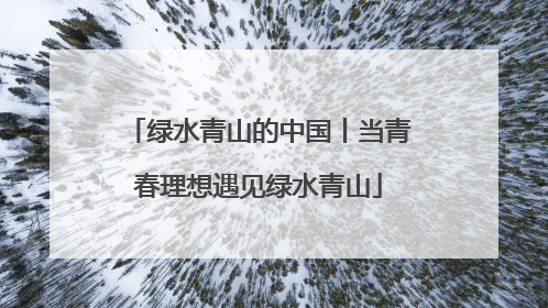 绿水青山的中国丨当青春理想遇见绿水青山