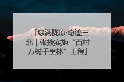 绿满陇原·奇迹三北｜张掖实施“百村万树千里林”工程