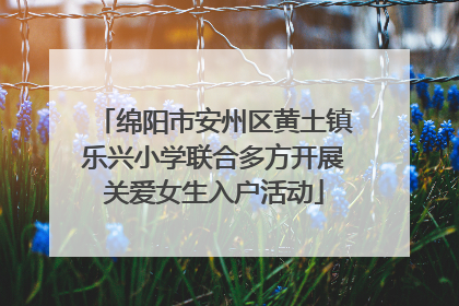 绵阳市安州区黄土镇乐兴小学联合多方开展关爱女生入户活动
