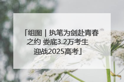 组图｜执笔为剑赴青春之约 娄底3.2万考生迎战2025高考