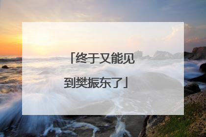 终于又能见到樊振东了