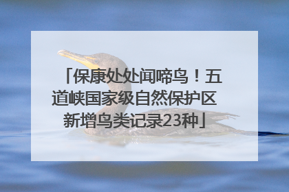 保康处处闻啼鸟！五道峡国家级自然保护区新增鸟类记录23种