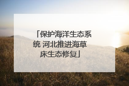 保护海洋生态系统 河北推进海草床生态修复