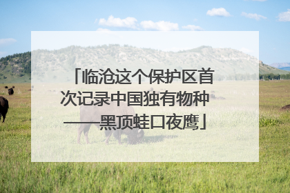 临沧这个保护区首次记录中国独有物种——黑顶蛙口夜鹰
