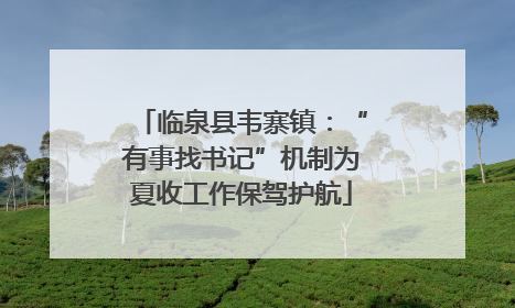 临泉县韦寨镇：“有事找书记”机制为夏收工作保驾护航