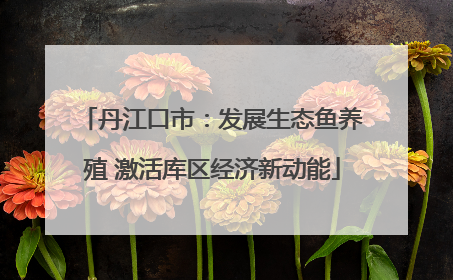 丹江口市：发展生态鱼养殖 激活库区经济新动能