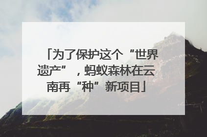 为了保护这个“世界遗产”，蚂蚁森林在云南再“种”新项目