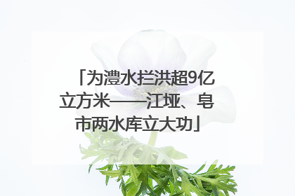 为澧水拦洪超9亿立方米——江垭、皂市两水库立大功