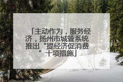 主动作为，服务经济，扬州市城管系统推出“提经济促消费”十项措施
