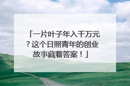 一片叶子年入千万元？这个日照青年的创业故事藏着答案！