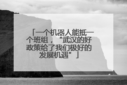 一个机器人能抵一个班组，“武汉的好政策给了我们极好的发展机遇”