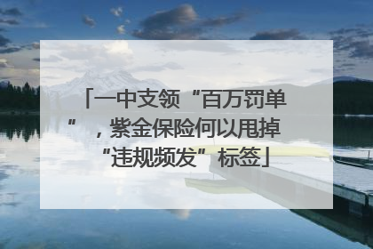 一中支领“百万罚单”，紫金保险何以甩掉“违规频发”标签