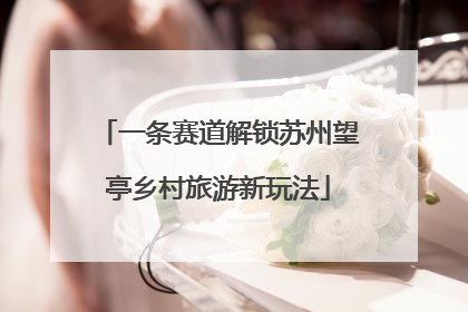 一条赛道解锁苏州望亭乡村旅游新玩法