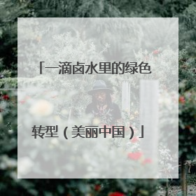一滴卤水里的绿色转型（美丽中国）