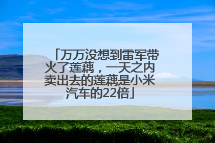 万万没想到雷军带火了莲藕，一天之内卖出去的莲藕是小米汽车的22倍
