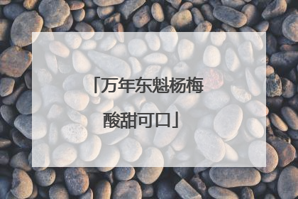 万年东魁杨梅 酸甜可口
