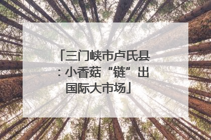 三门峡市卢氏县：小香菇“链”出国际大市场