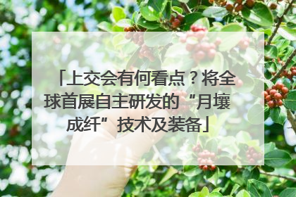 上交会有何看点？将全球首展自主研发的“月壤成纤”技术及装备