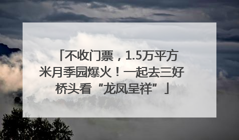 不收门票，1.5万平方米月季园爆火！一起去三好桥头看“龙凤呈祥”