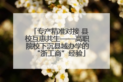 专产精准对接 县校互惠共生——高职院校下沉县域办学的“浙工商”经验
