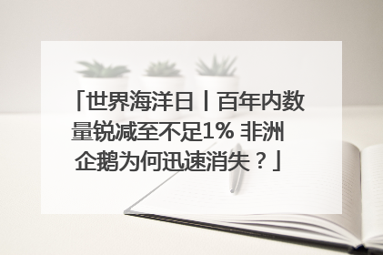 世界海洋日丨百年内数量锐减至不足1% 非洲企鹅为何迅速消失？
