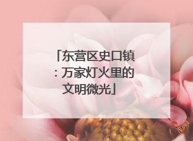 东营区史口镇：万家灯火里的文明微光